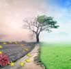 Covid-19: EU recovery plan should prioritise climate investment